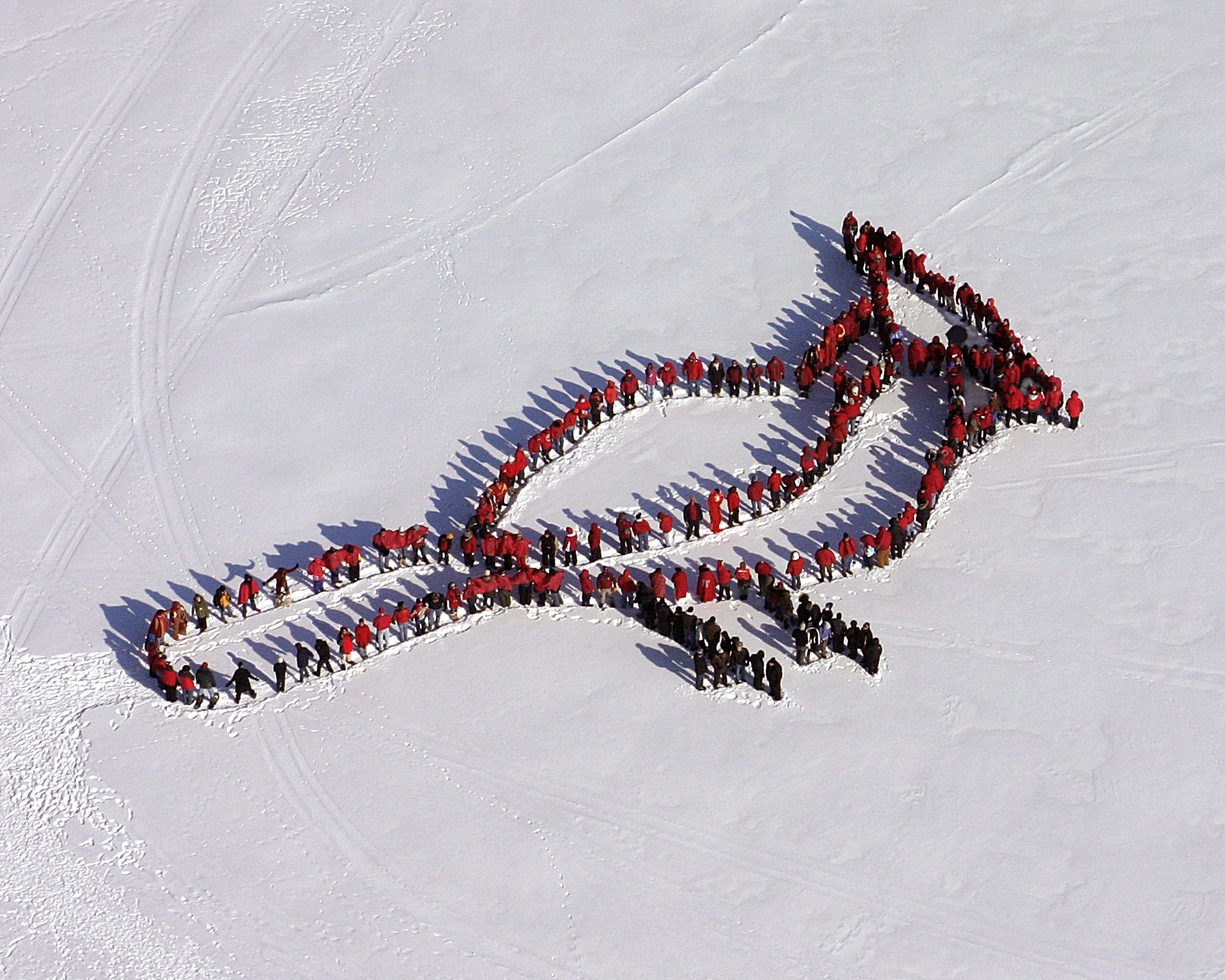 2010 peoples project