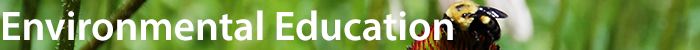 environmental education
