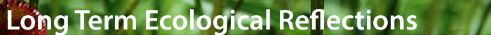 long term ecological reflections